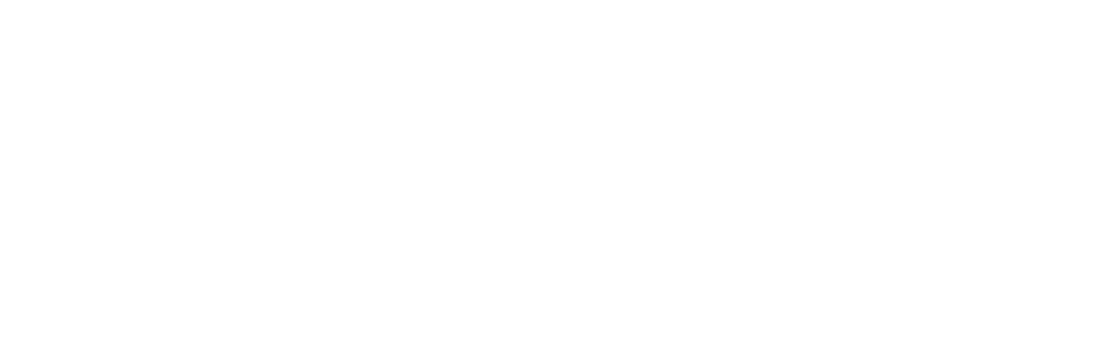 Affinity Consulting Group